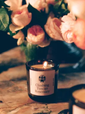 Climbing Tuscan Rosemary Candle