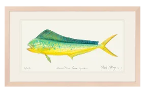 Cow Dorado/ Mahi Print