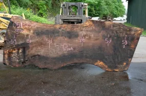 Oregon Black Walnut Slab 051323-05