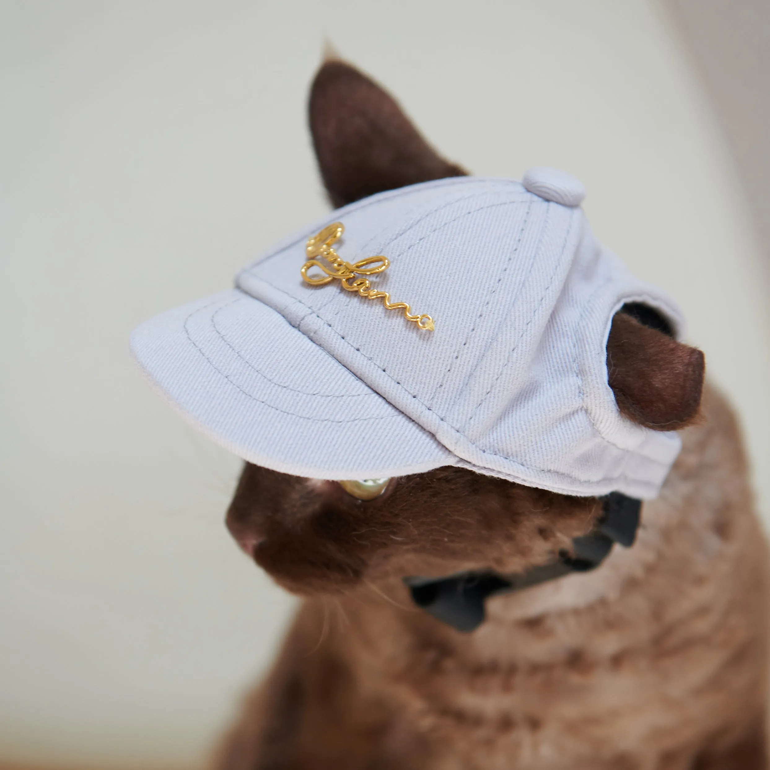 Puppy Cap with Golden Logo