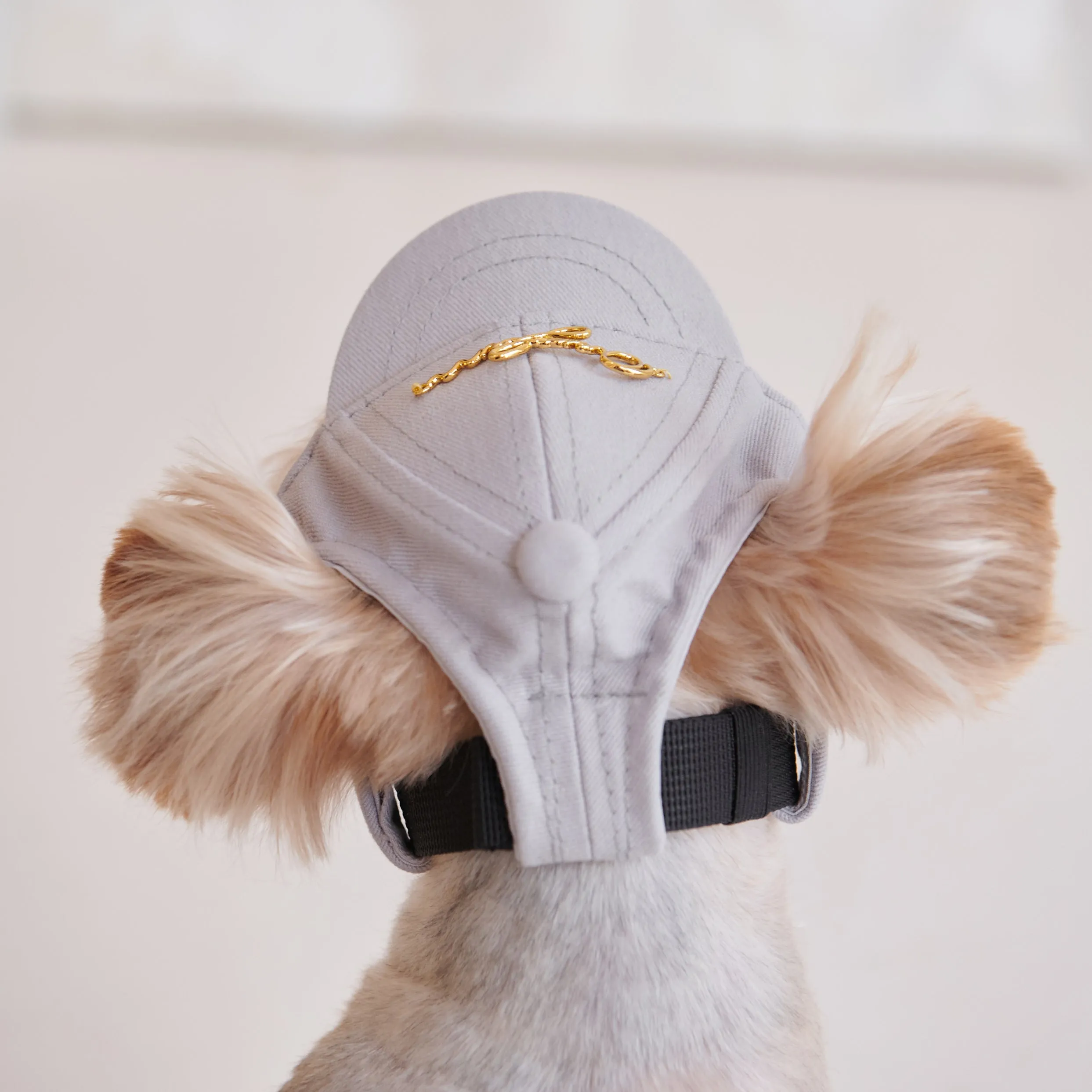 Puppy Cap with Golden Logo