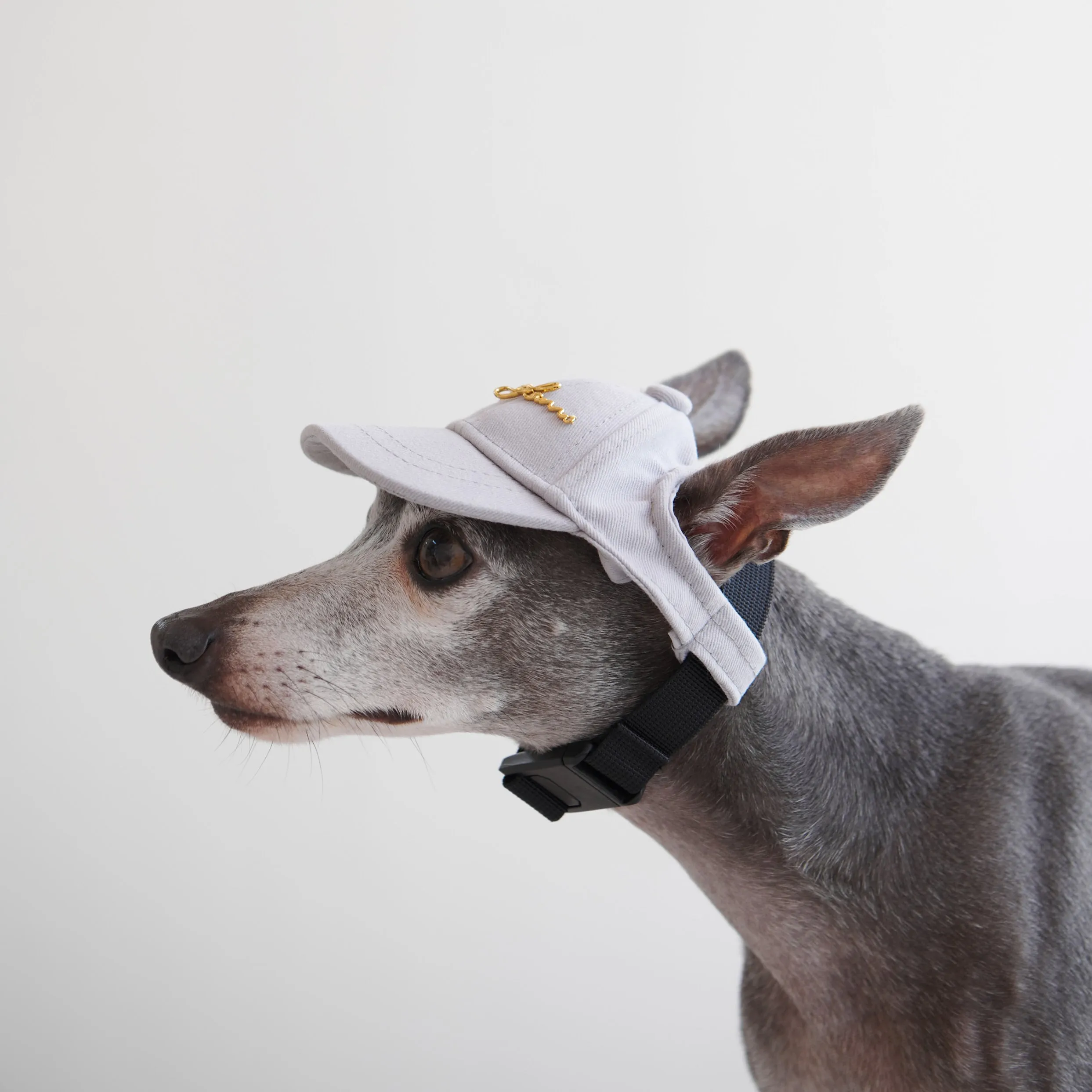 Puppy Cap with Golden Logo