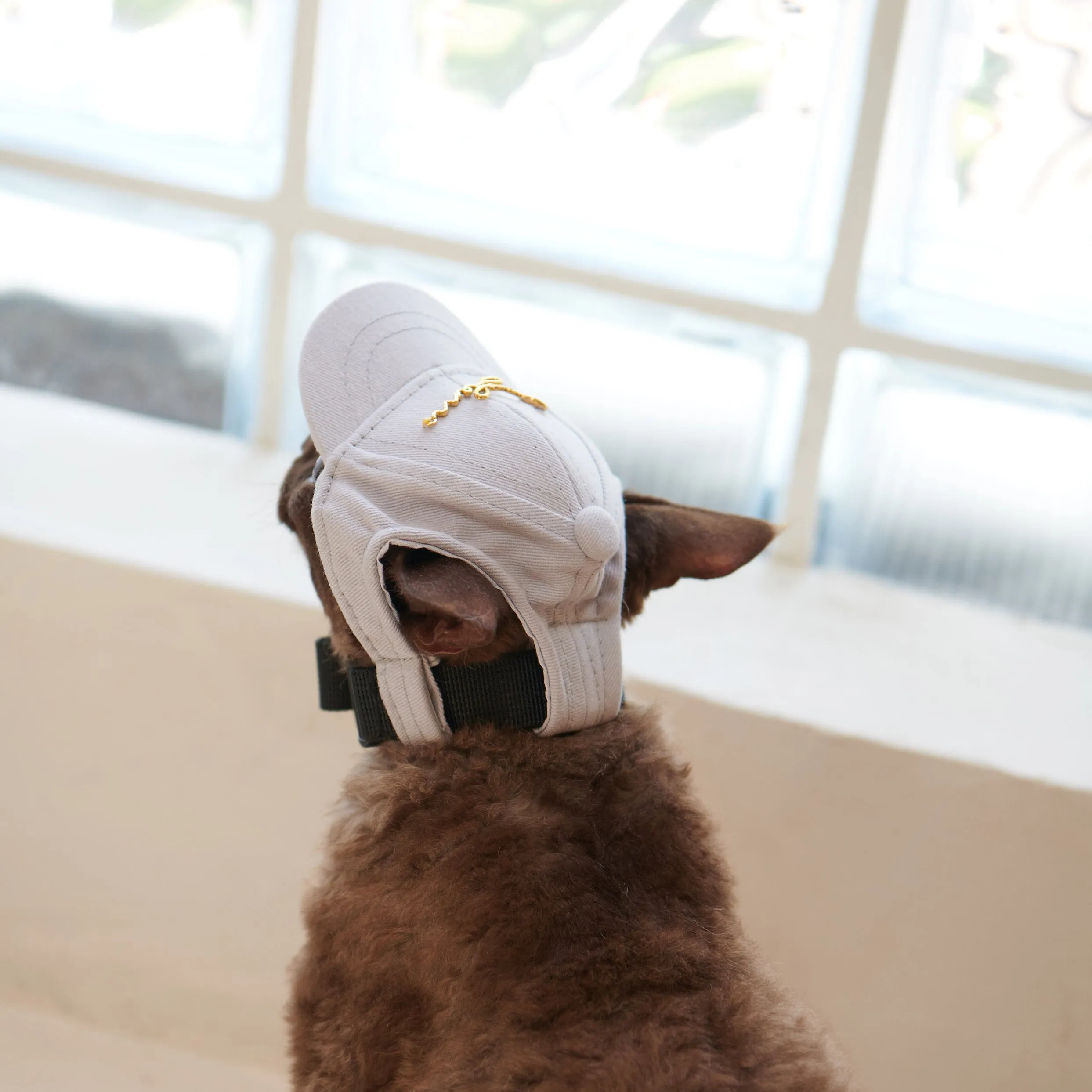 Puppy Cap with Golden Logo