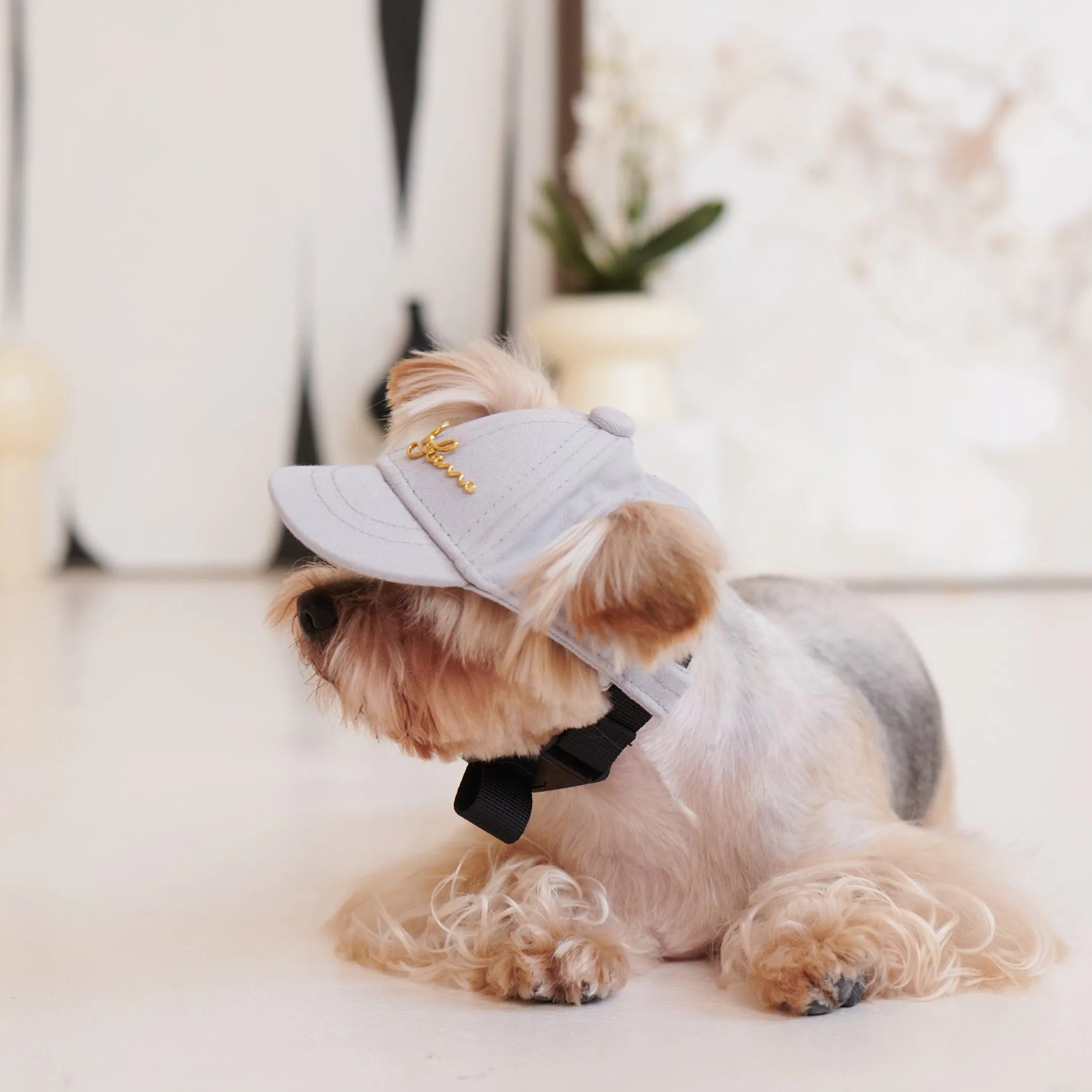 Puppy Cap with Golden Logo